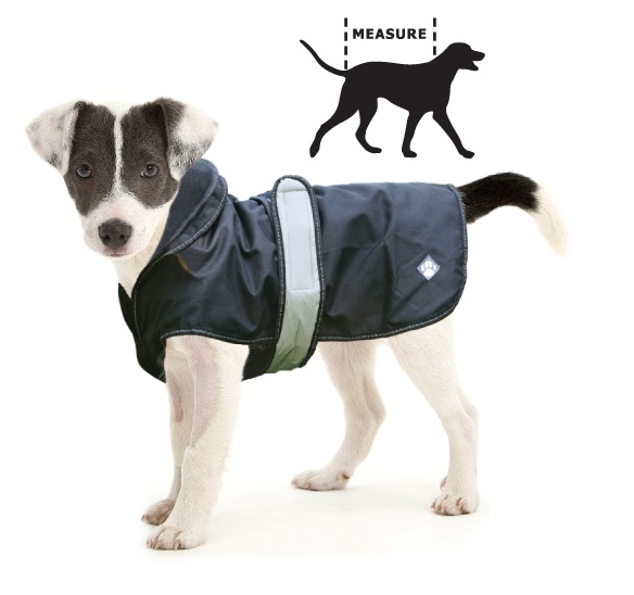 blue cross all weather dog coat.jpg